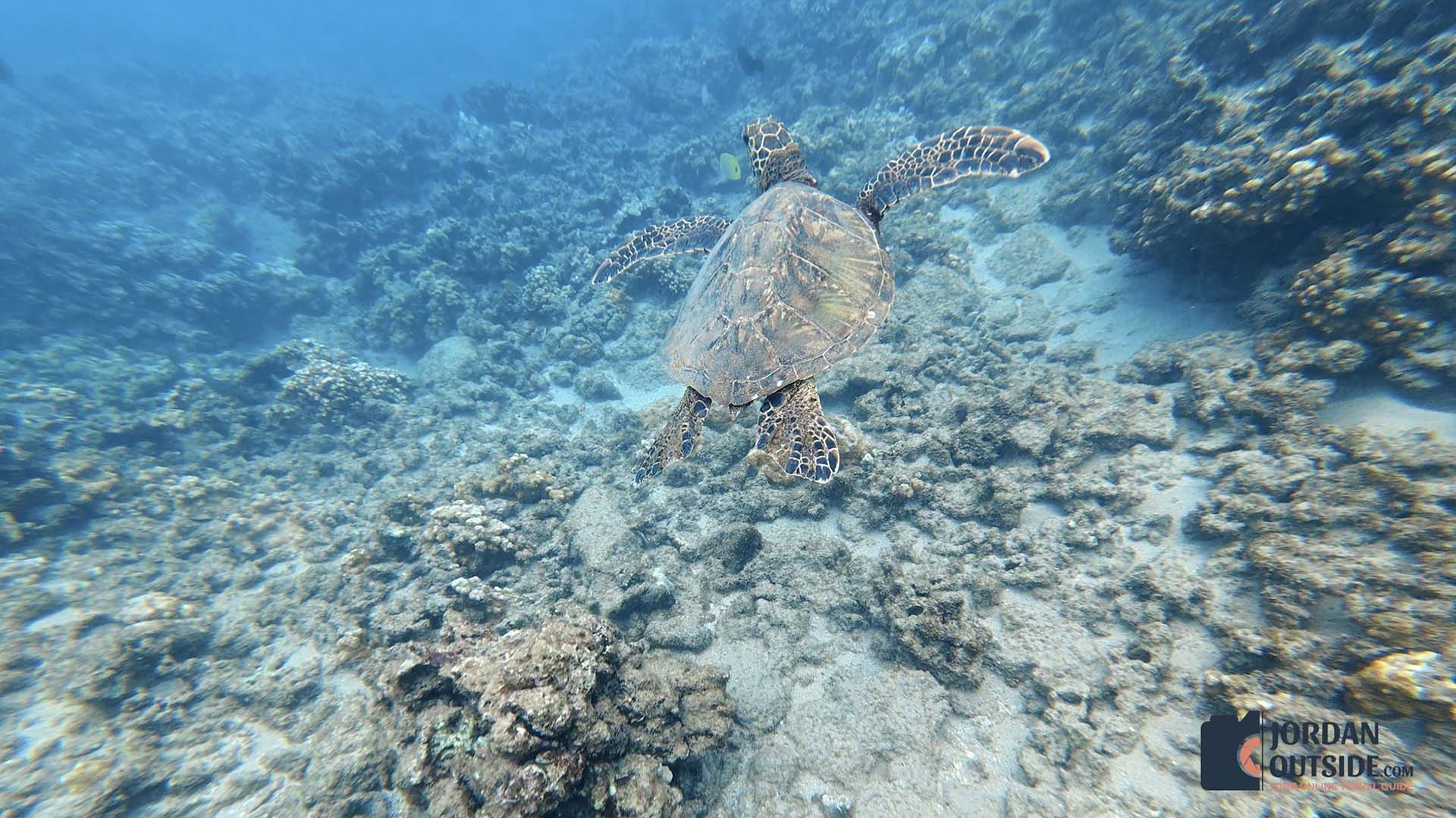 Kapalua Bay Beach