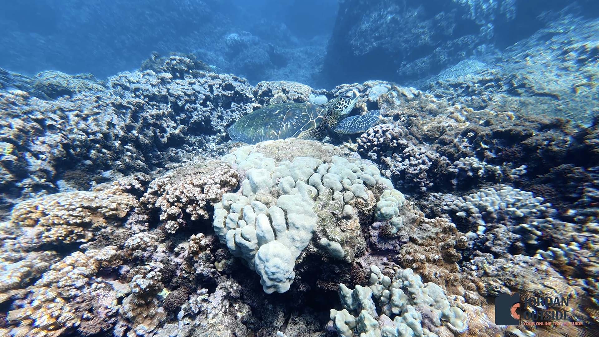 Honokeana Cove, Maui