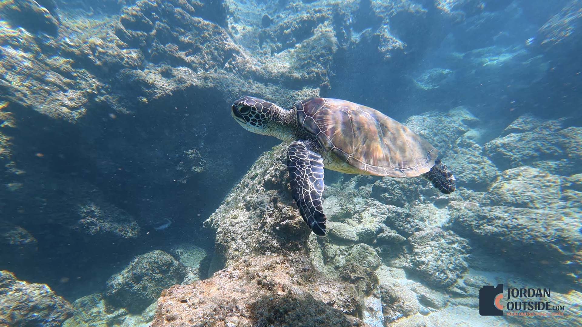 Napili Bay Beach, Maui