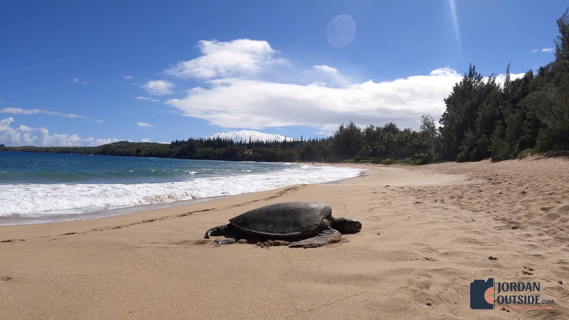 DT Fleming Beach Park, Maui