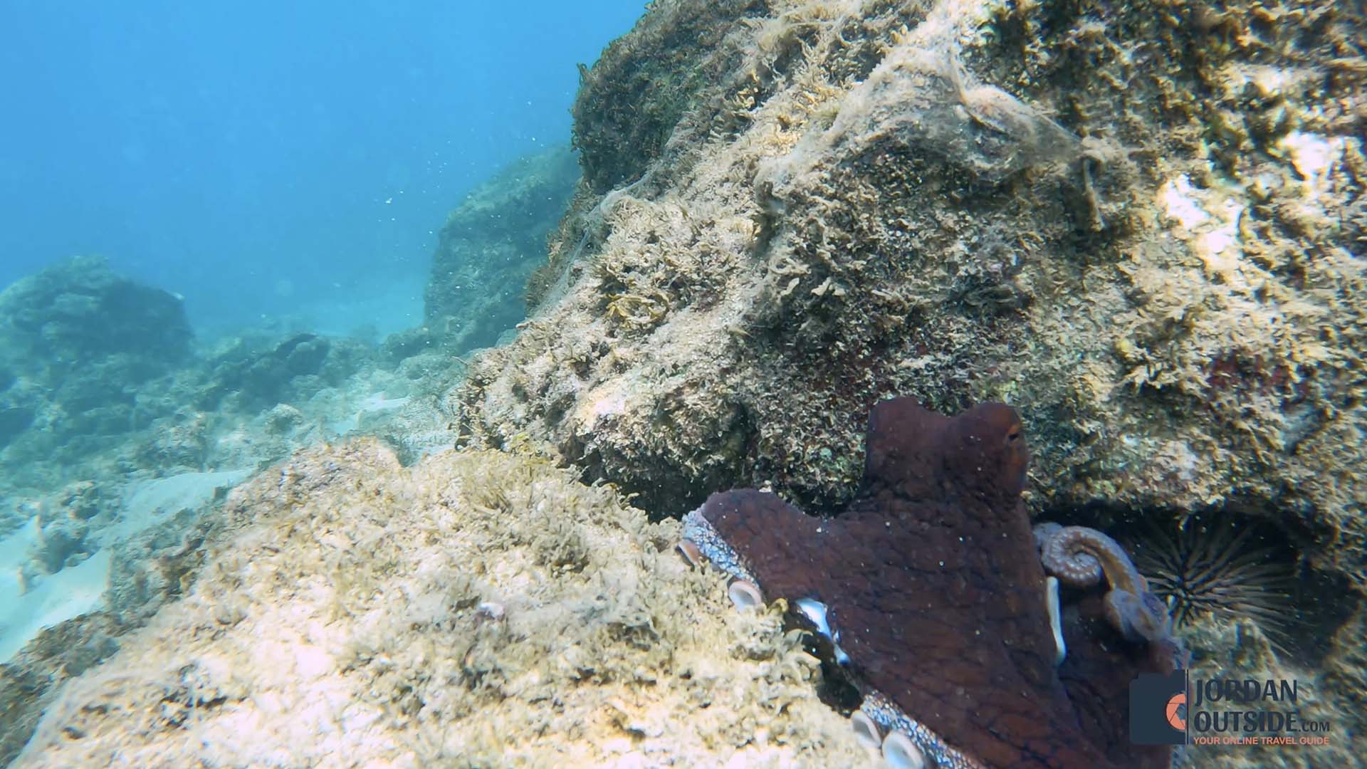 Kapalua Bay Beach