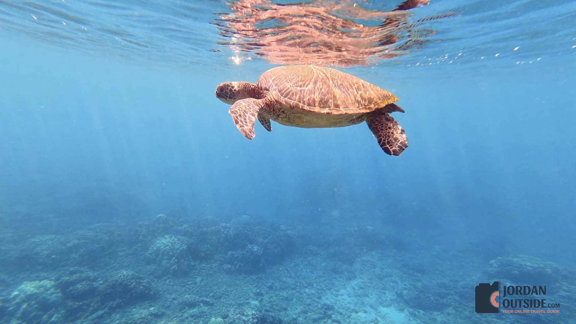 Honokeana Cove, Maui