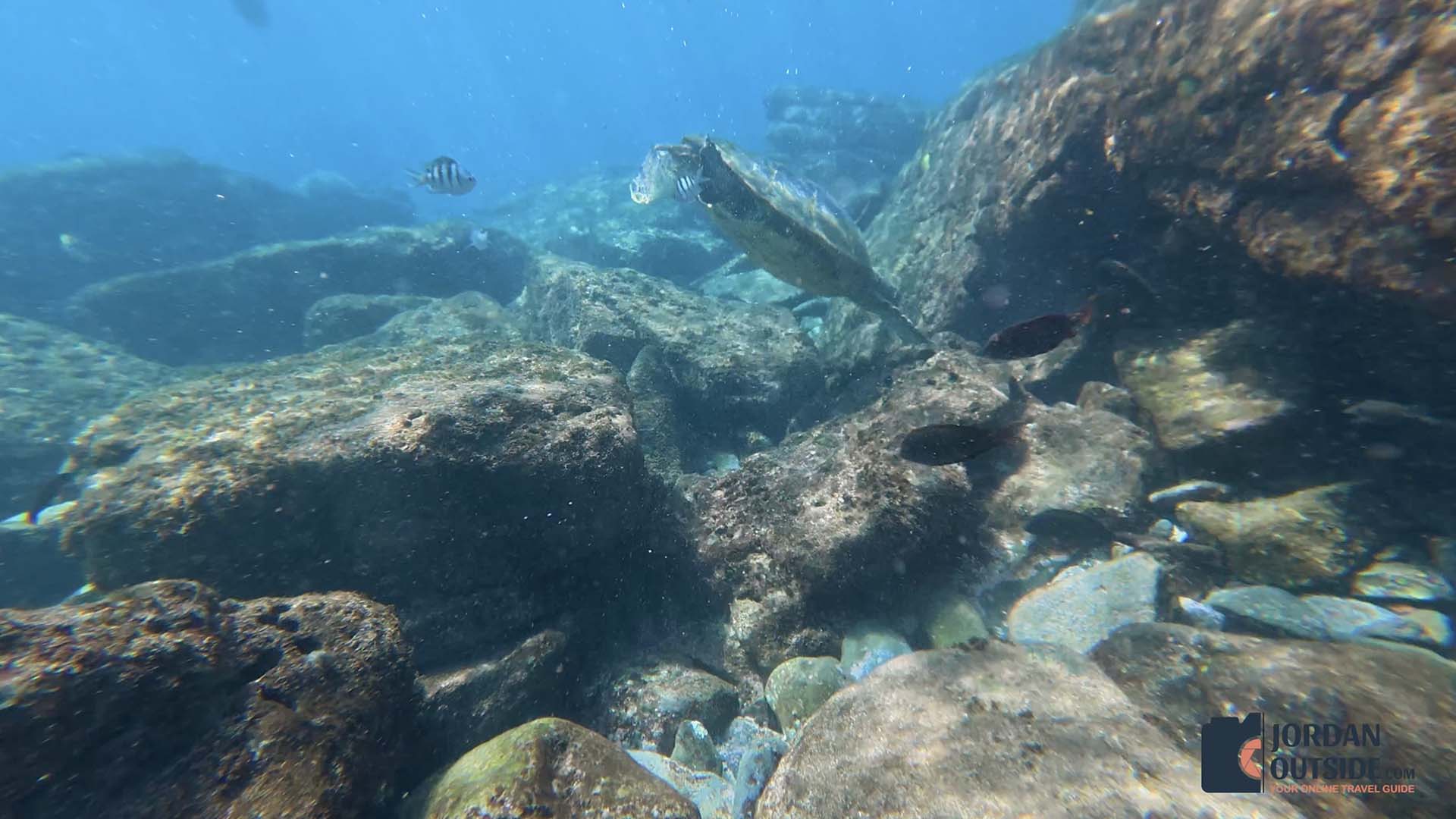 Honokeana Cove, Maui