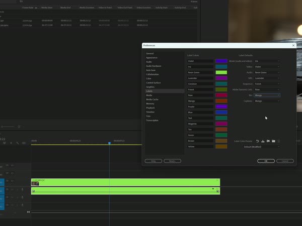 The new label colour swatches in Premiere Pro preferences