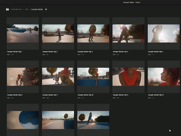 The Import view browsing clips in Premiere Pro