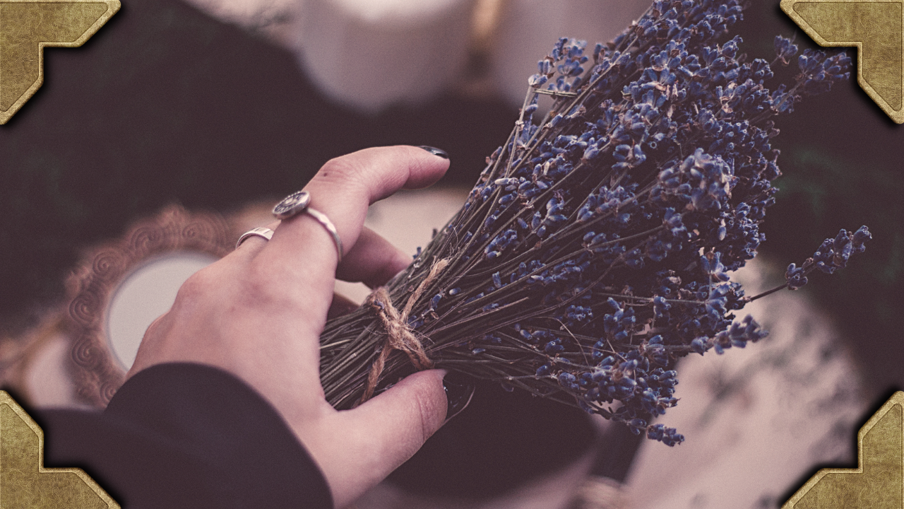 Close-up of hands holding a bundle of dried lavender tied with twine — self-taught witch using plant magic and herbal spellcraft