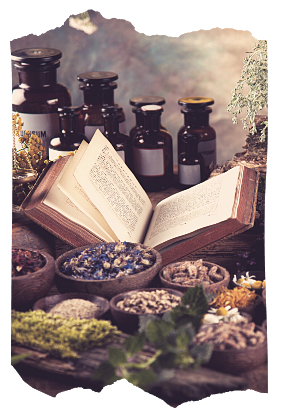 Open spell book surrounded by dried herbs, botanicals and apothecary bottles — creative spellcraft ingredients for Way of the Mage