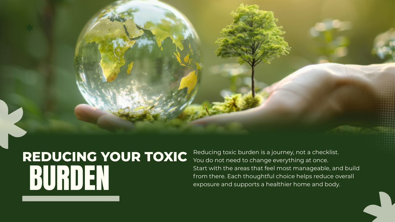 Less Toxic Reducing Your Toxic Burden