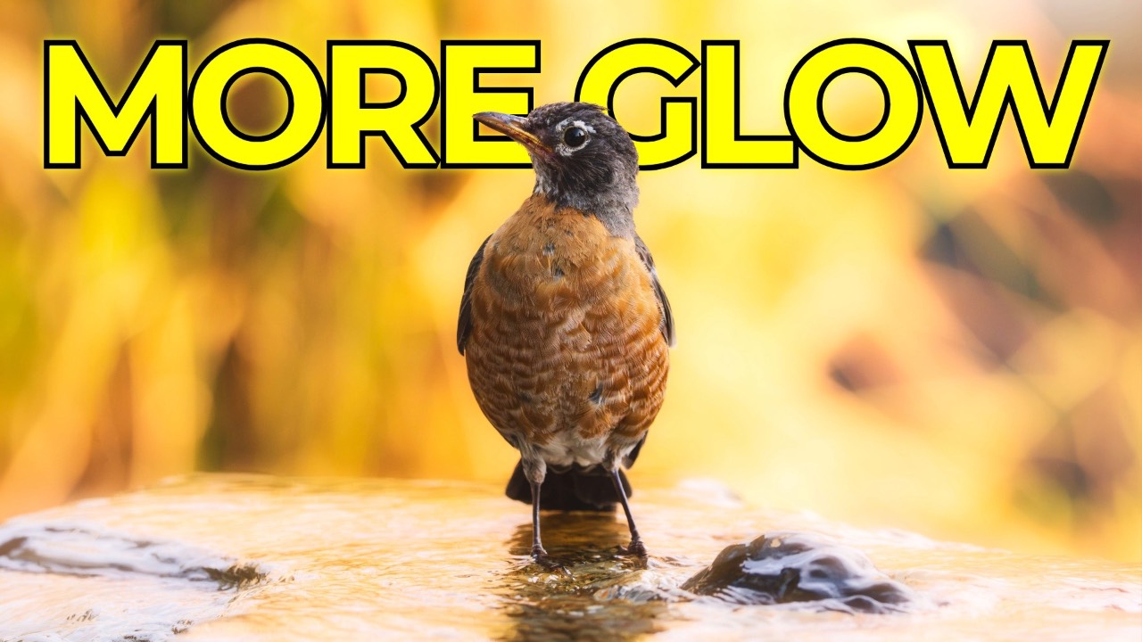Top 3 Adobe Camera Raw Glow Techniques I Keep Coming Back To