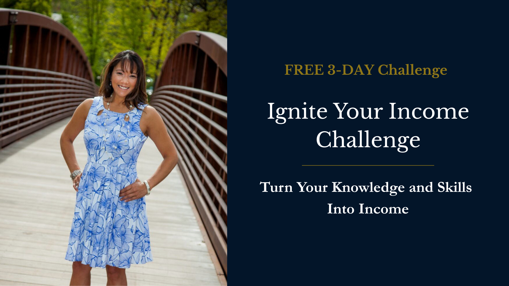 Ignite Your Income Challenge