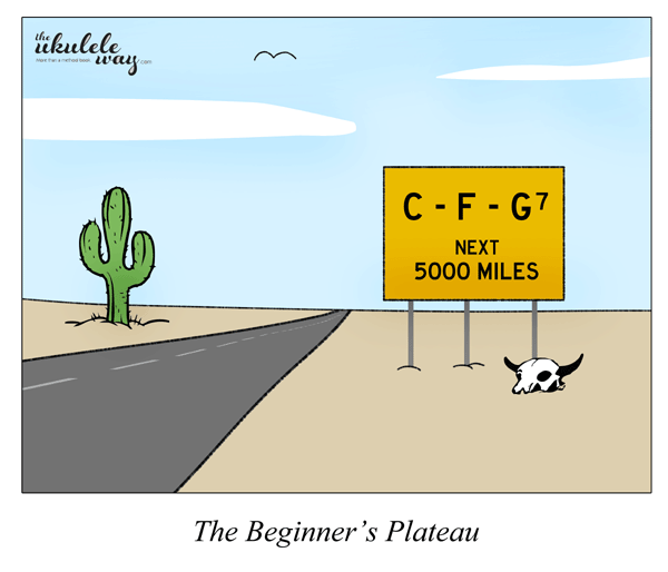 The Beginner's Plateau