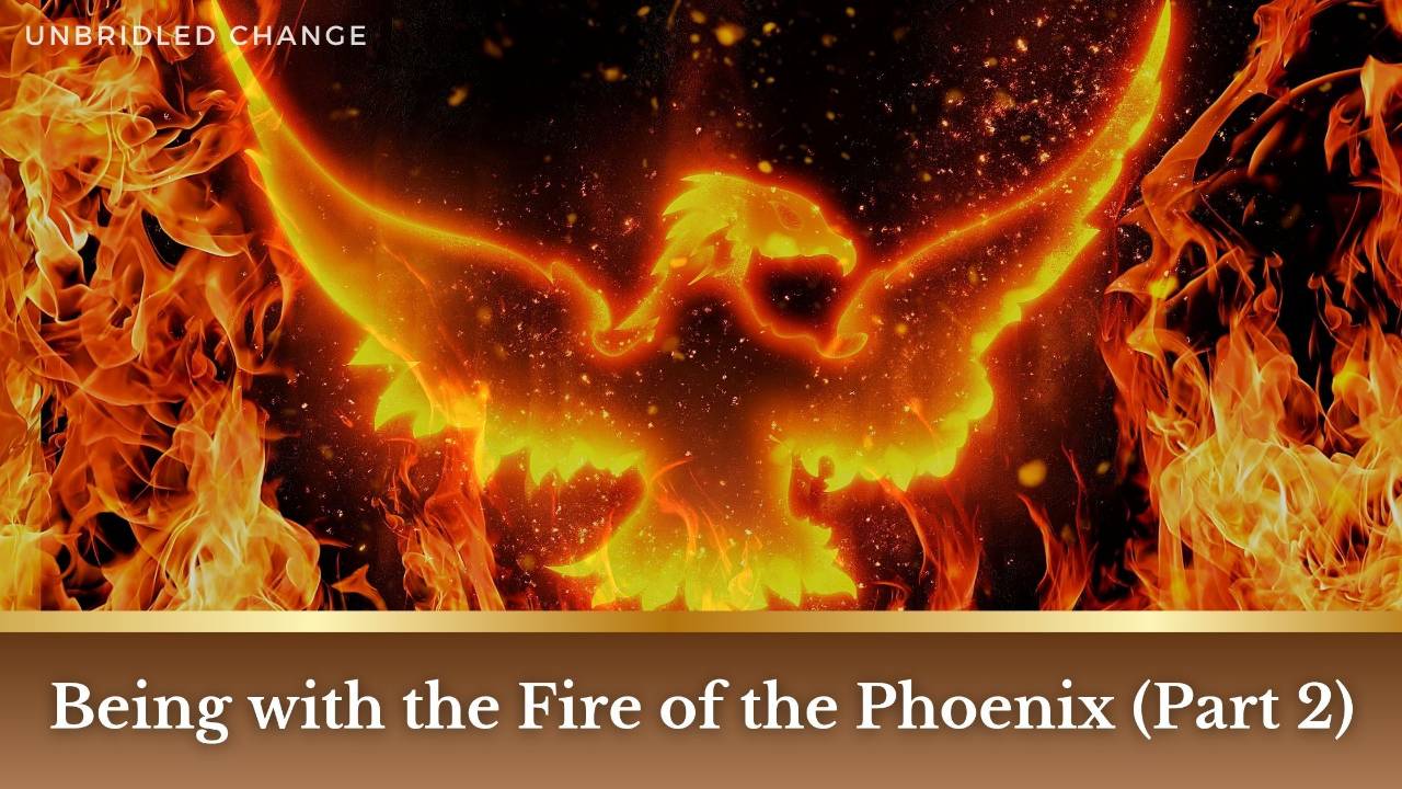 A glowing phoenix with wings outstretched amid flames, with the title “Being with the Fire of the Phoenix (Part 2)” by Unbridled Change.