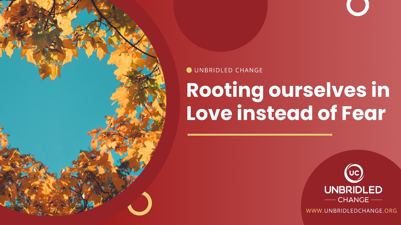 Rooting ourselves in Love instead of Fear