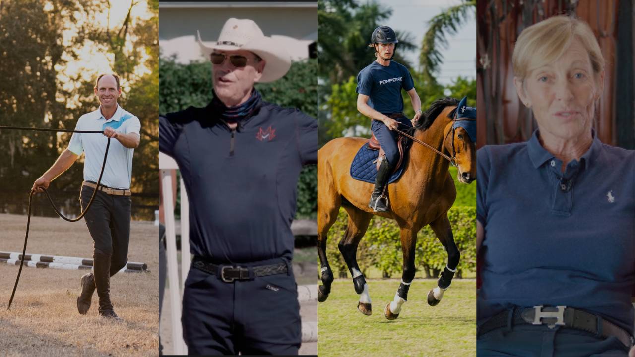 The New Horse Starter Pack with Chelsea Canedy