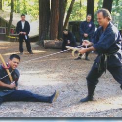 Sword Course training image