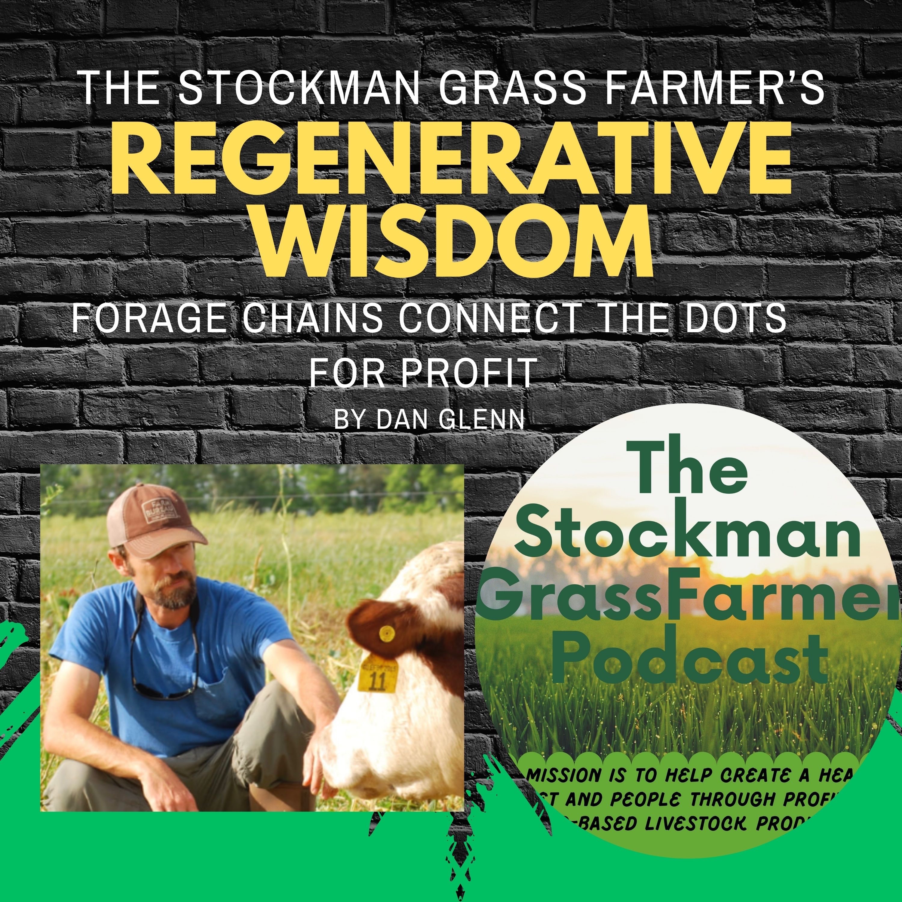 Forage Chains Connect the Dots for Profit By Dan Glenn episode artwork
