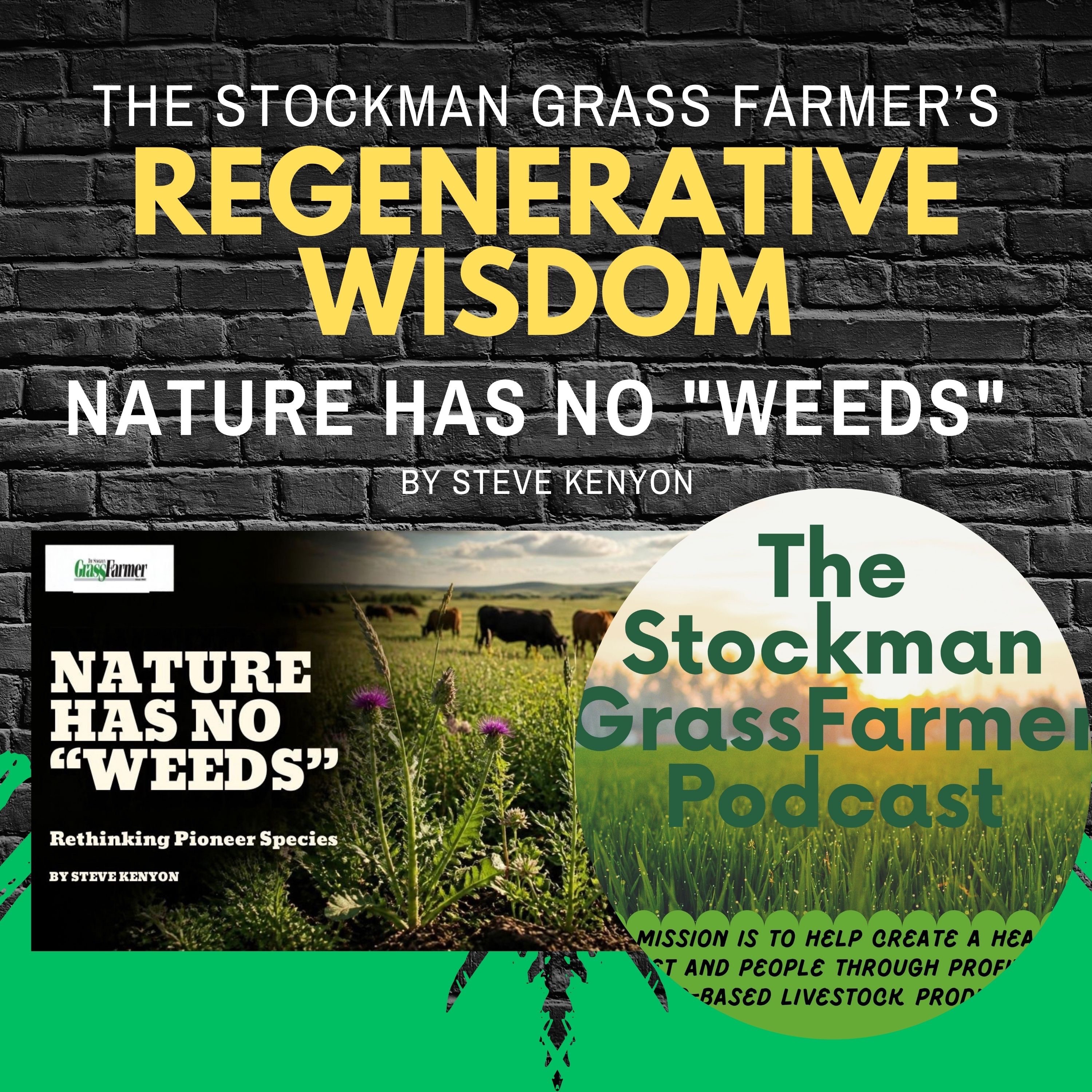 Nature has No "Weeds" By Steve Kenyon