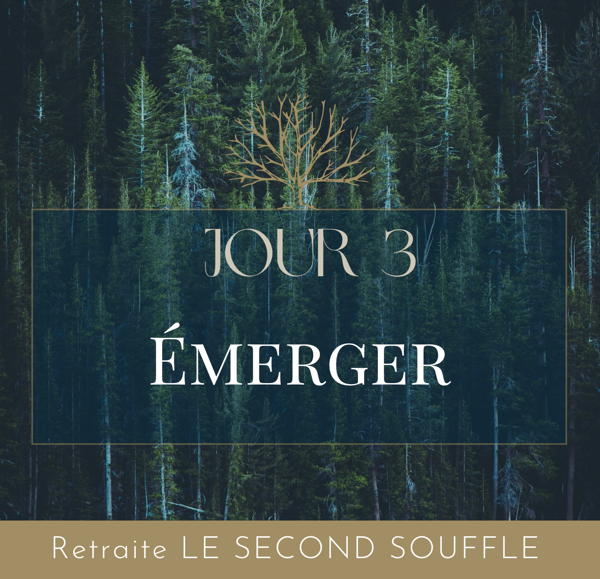 Émerger vers la lumière