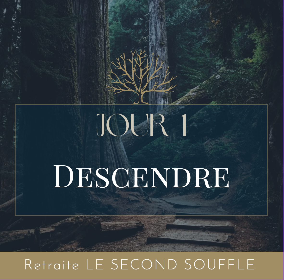 Descendre vers les racines et sa Source