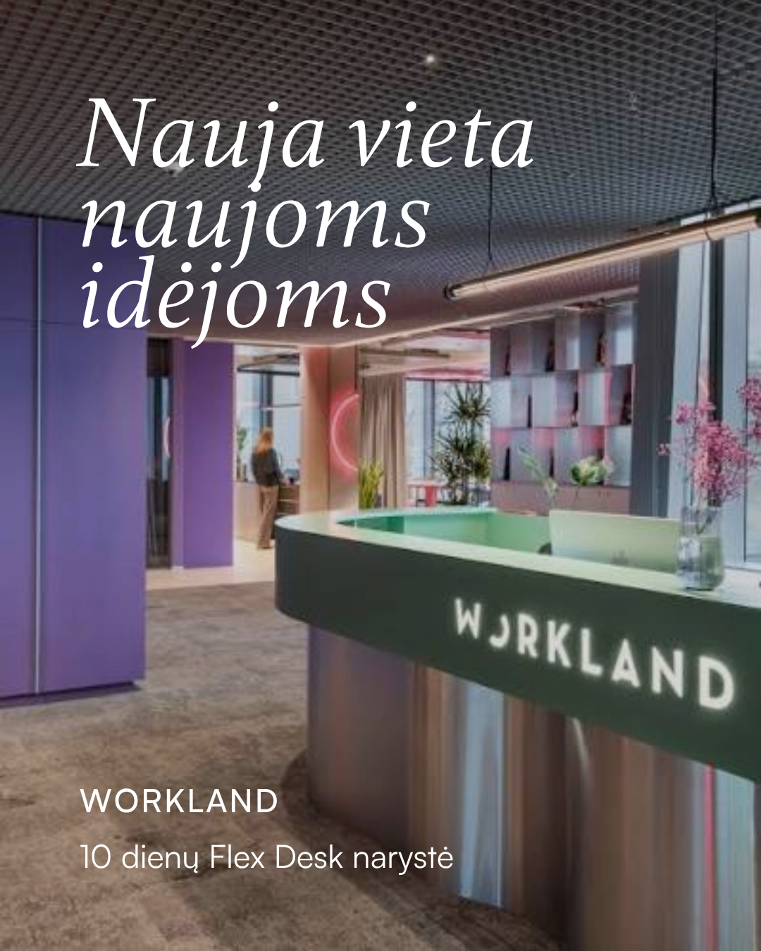 Workland Flex Desk
