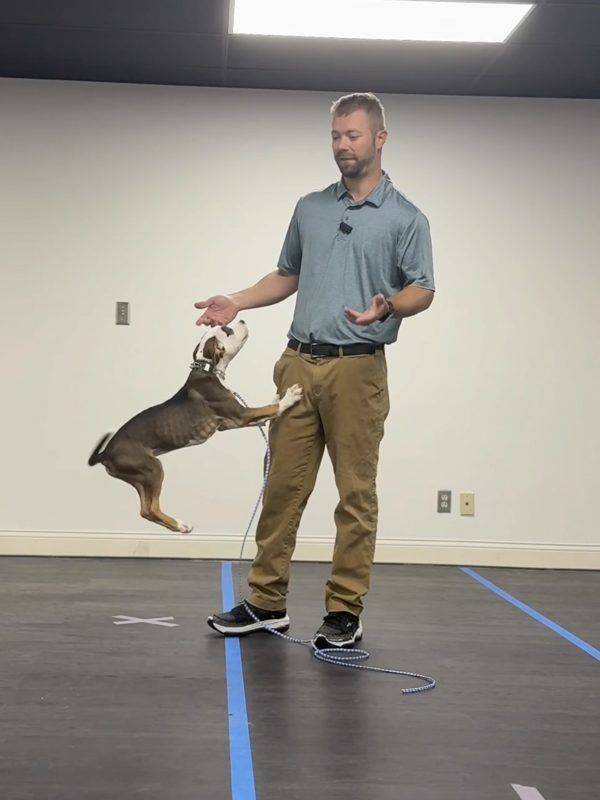 Lee with a puppy in the training room