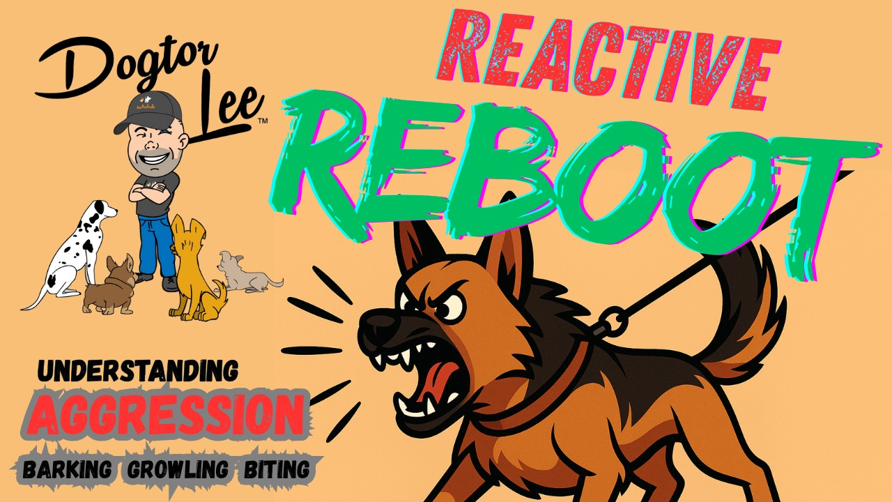 Reactive Reboot