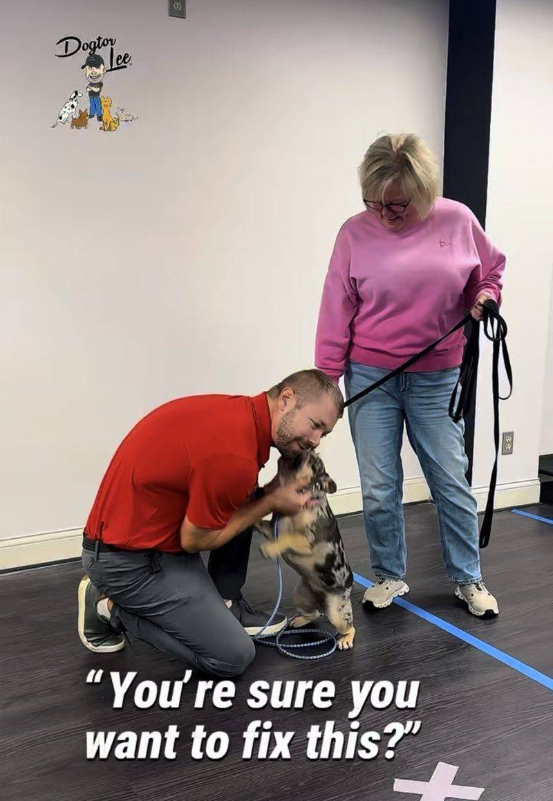 Lee bent down petting a French Bulldog