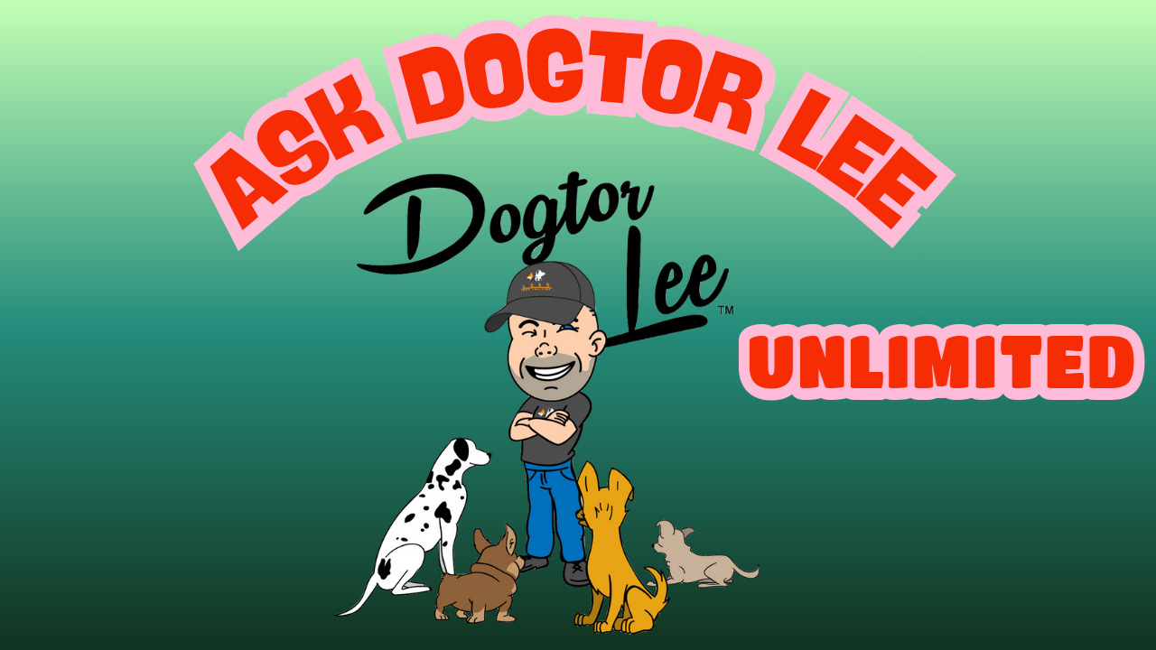 Ask Lee Unlimited