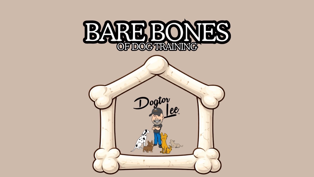 Bare Bones thumbnail