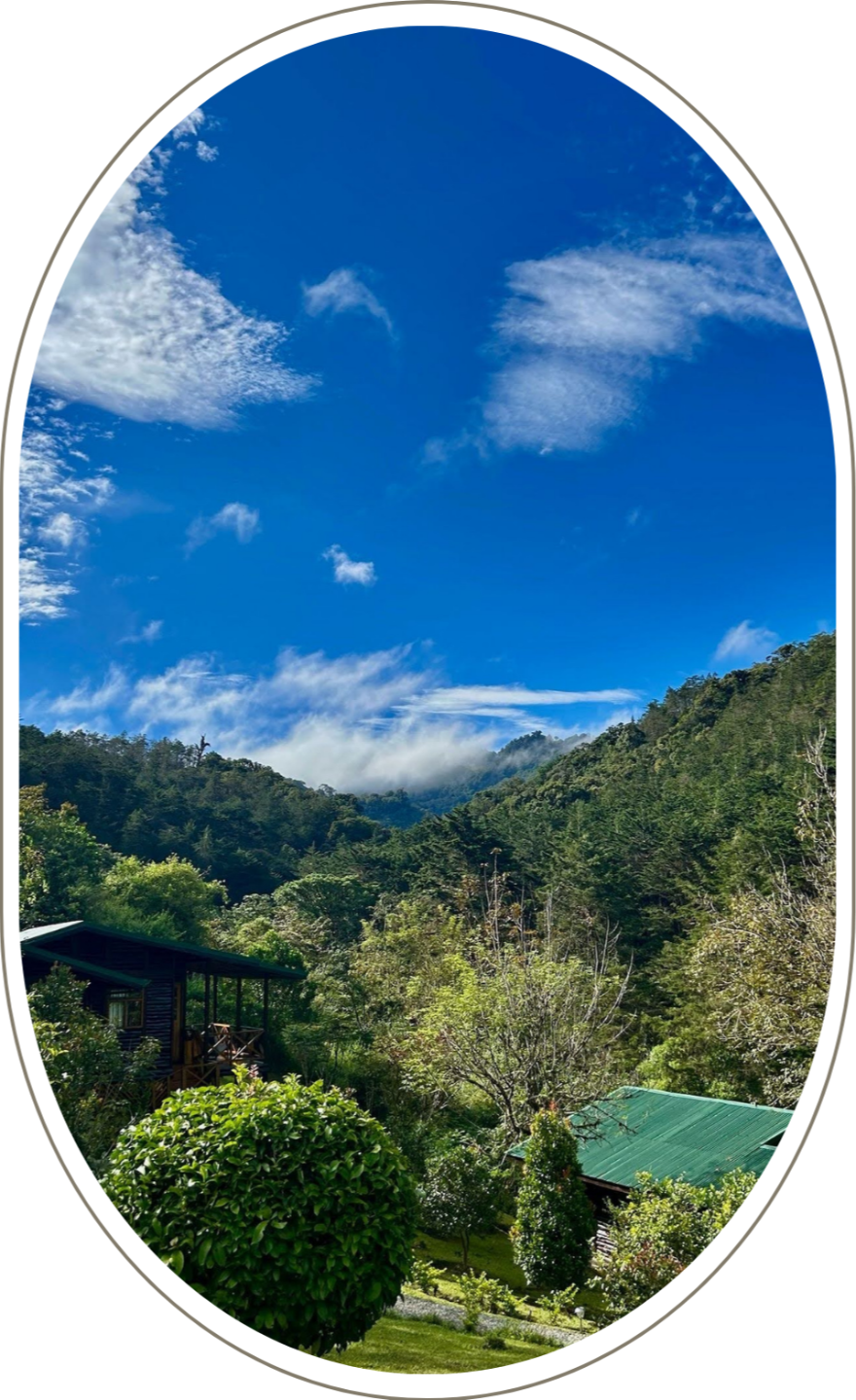 Participant at Come Back to Love retreat