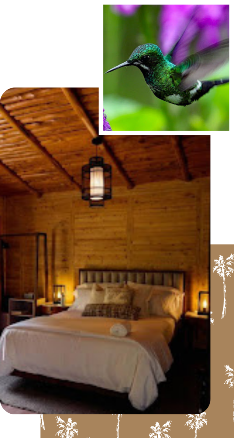 Verdesana Forest Costa Rica retreat setting