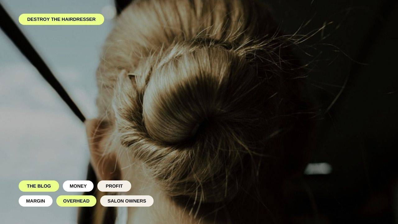 Blog banner with keyword labels for money, profit, margin and overhead over blonde hair twisted into a bun, seen from behind