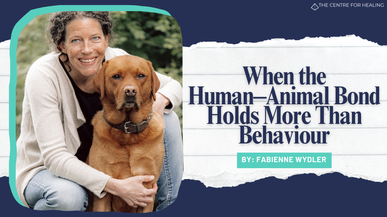 deep connection, emotional bond, dog reactivity, animal behavior, relationship dynamics