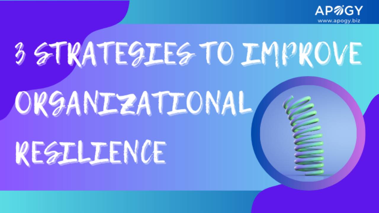 🌱3️ Strategies to Improve Organizational Resilience
