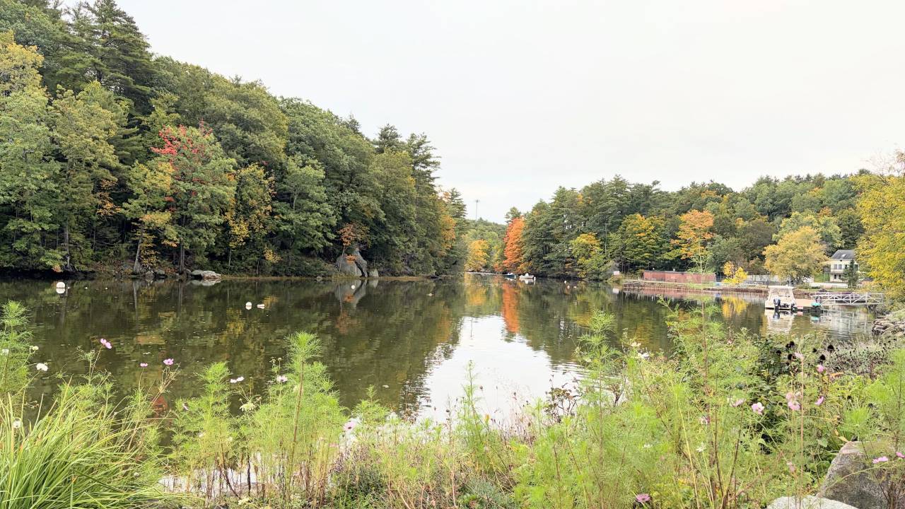 Fall, Autumn, Shire. Happiness, New England
