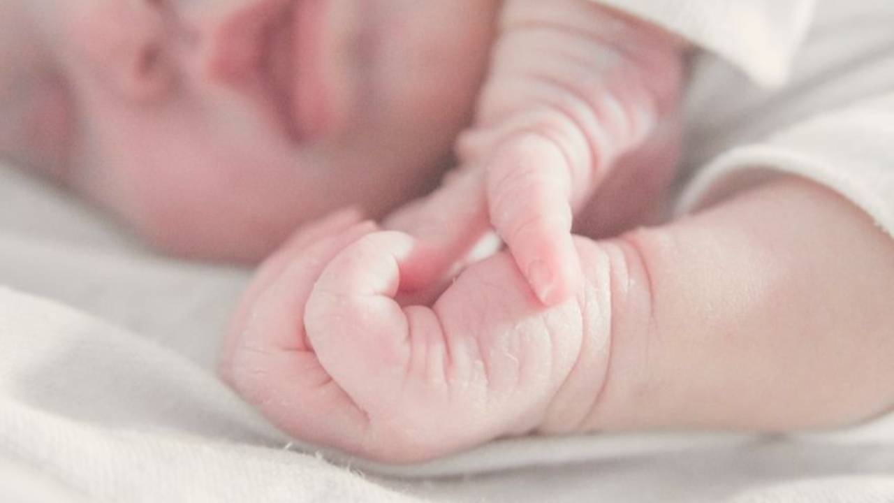 Free Newborn Routines free-newborn-routines