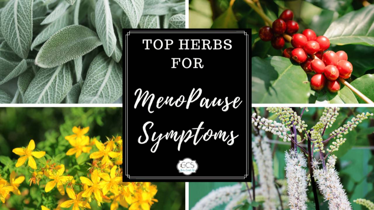 Natural Remedies for Menopause Best Herbs for Hot Flashes and More