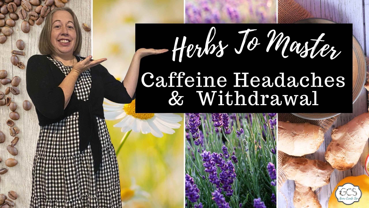 Herbs for Mastering Caffeine Withdrawal & Coffee Headaches