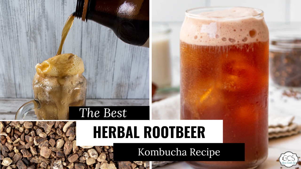Herbal Root Beer Kombucha Recipe