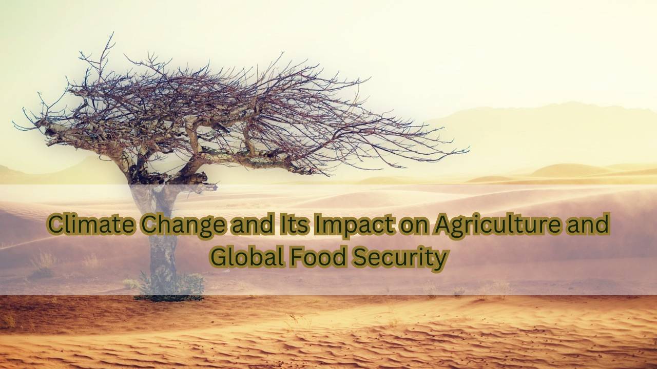 Climate Change and Its Impact on Agriculture and Global Food