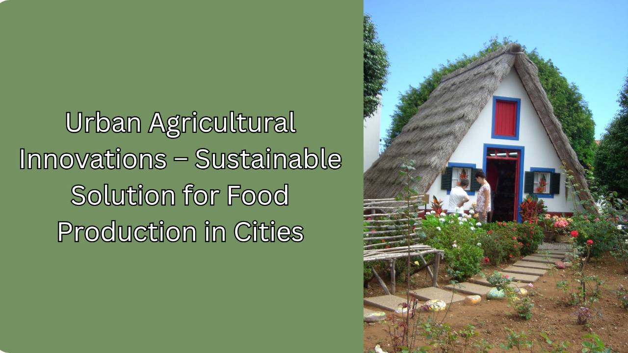 Urban Agriculture – Sustainable Solution for Food Production