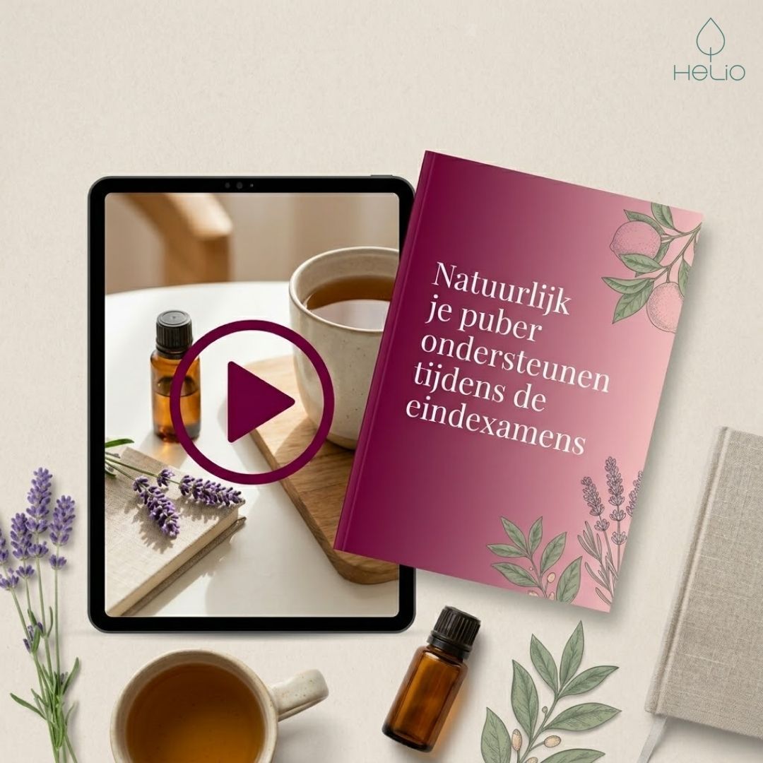 Ebook en webinar replay natuurlijk je puber ondersteunen tijdens de eindexamens