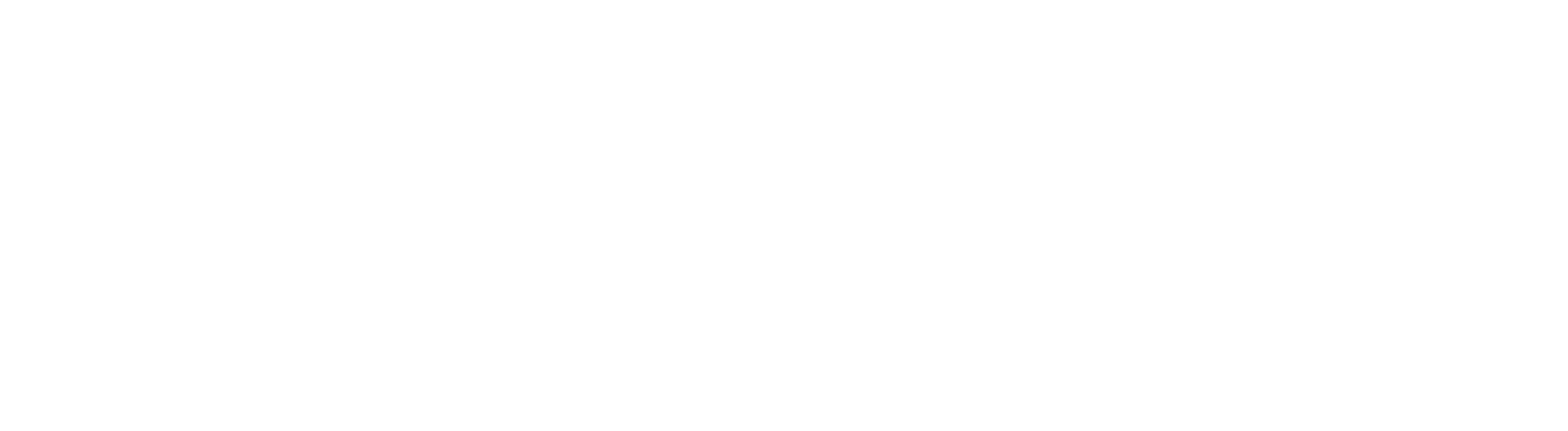 dietitiansuccesscenter.com logo with white, green, gold and red