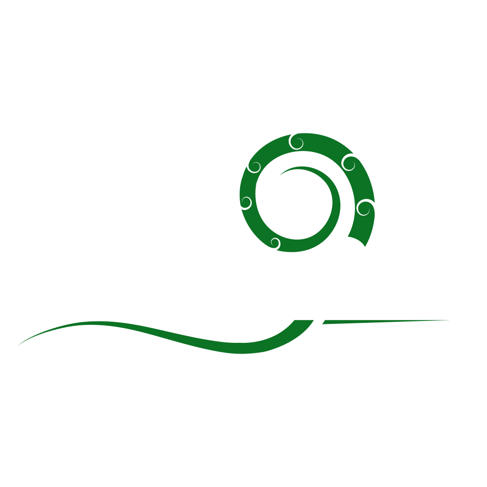 Footer Logo