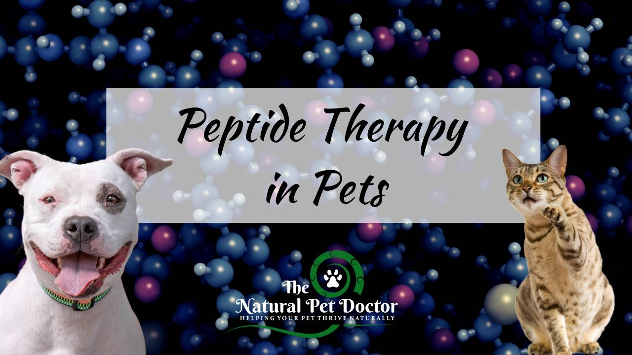 bpc-157 dosage for dogs Can Peptide Therapy Help Heal Your Pet Naturally?