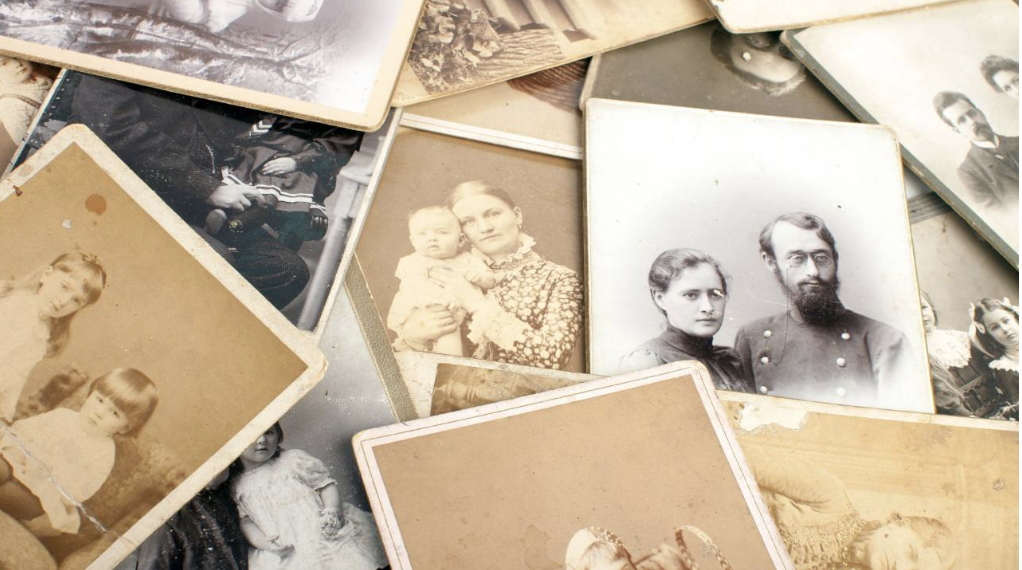 Ancestral Line Thumbnail