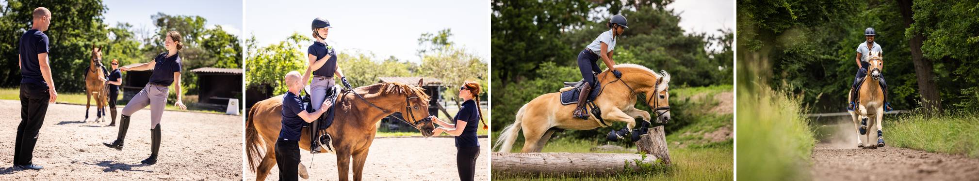 Neuro-Rider Training: Test am Boden, Sitzkorrektur, Geländesprung, entspannter Galopp