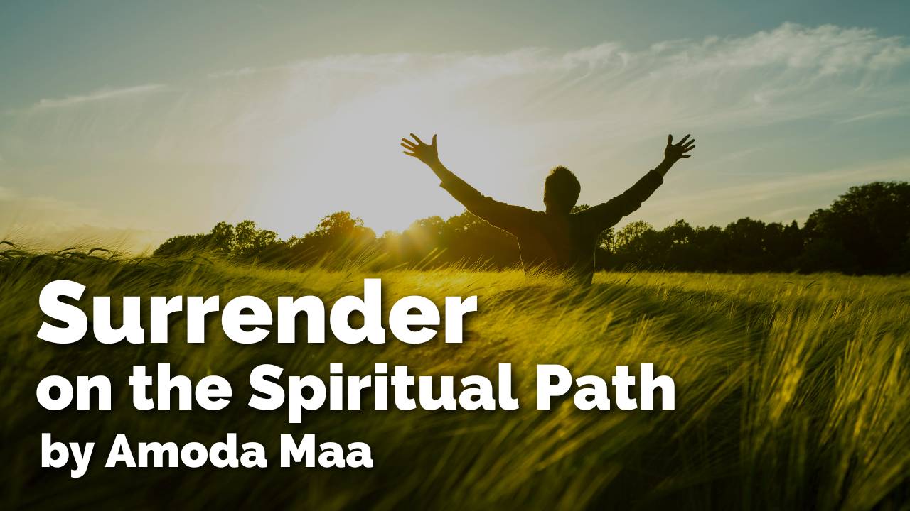 Surrender On The Spiritual Path By Amoda Maa