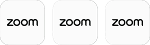 Zoom icon