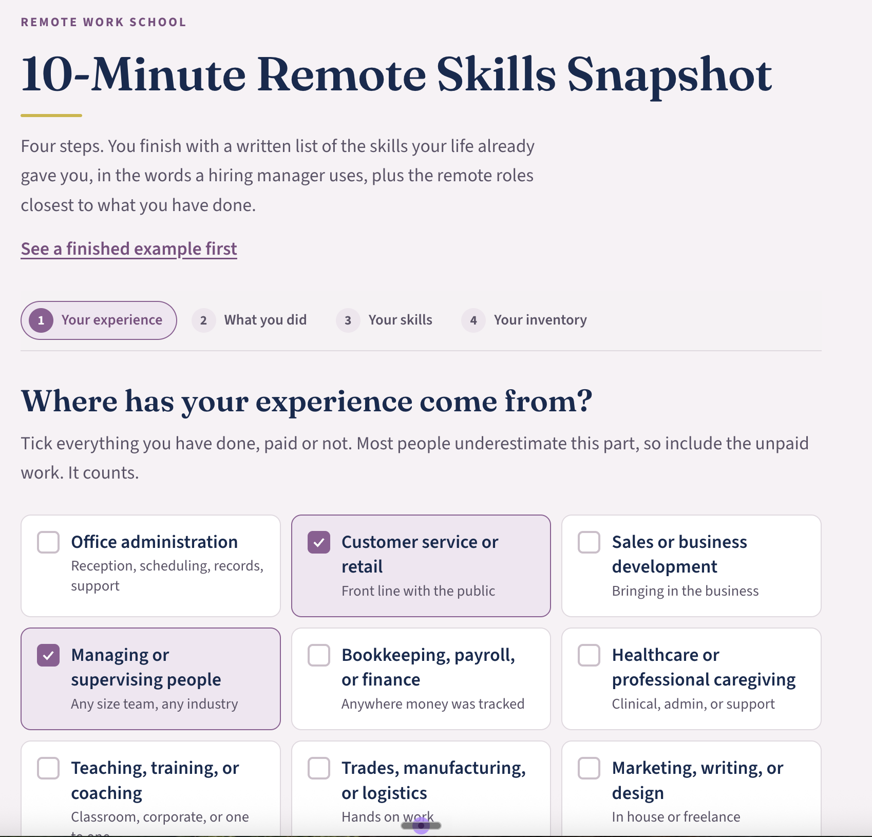 Step one of the Snapshot, the experience areas including the unpaid ones